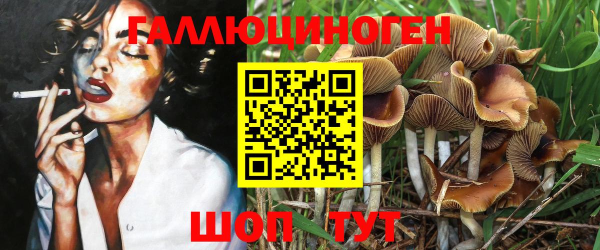 Ливны  Галлюциногенные грибы GOLDEN TEACHER  Вход с VPN 
